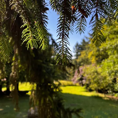 Venkovský dům Le Bout Du Chemin *