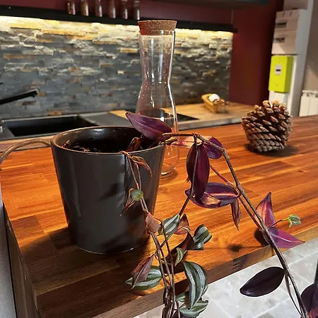 Venkovský dům Le Bout Du Chemin