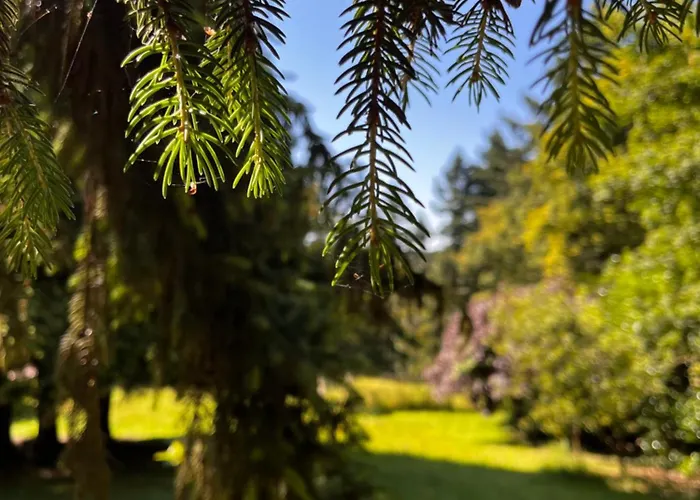 Landhaus Le Bout Du Chemin *