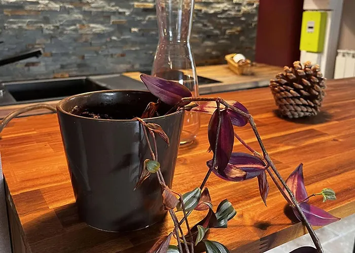 Landhaus Le Bout Du Chemin